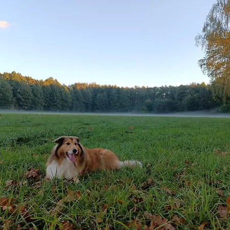 Osrodek Wypoczynkowy Wezaj 아파트 Zatom Stary