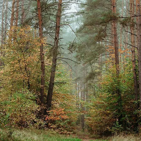 Osrodek Wypoczynkowy Wezaj
