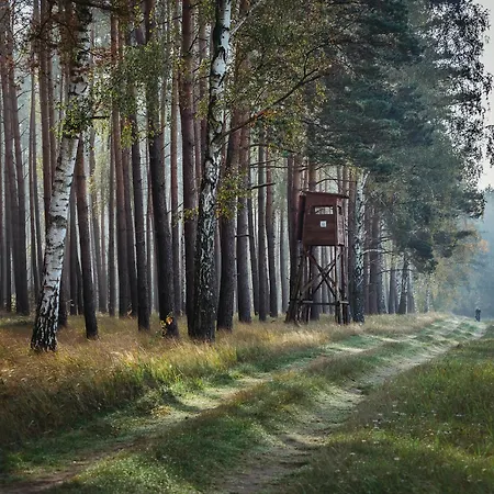 Osrodek Wypoczynkowy Wezaj * Zatom Stary