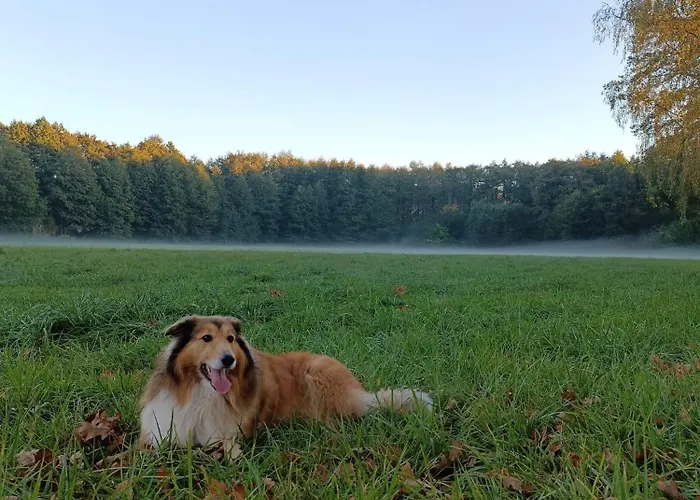 Osrodek Wypoczynkowy Wezaj Apartment Zatom Stary