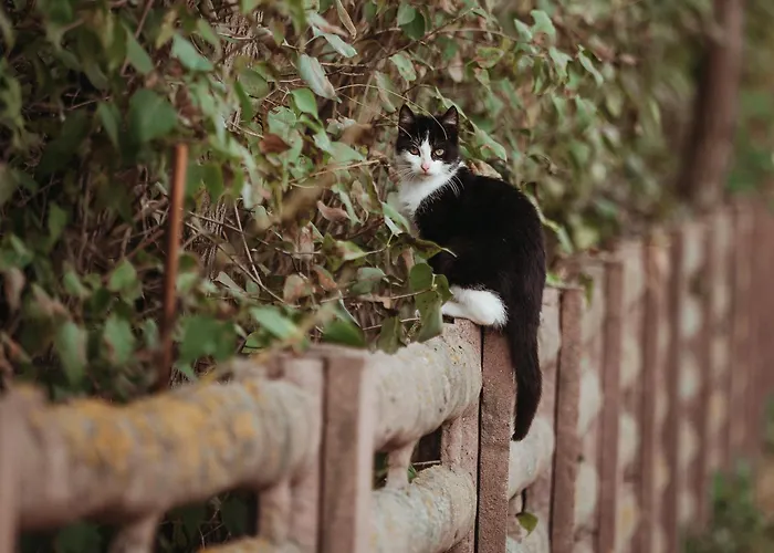 Osrodek Wypoczynkowy Wezaj Apartment