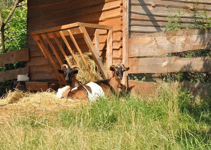 Apartment Osrodek Wypoczynkowy Wezaj Zatom Stary