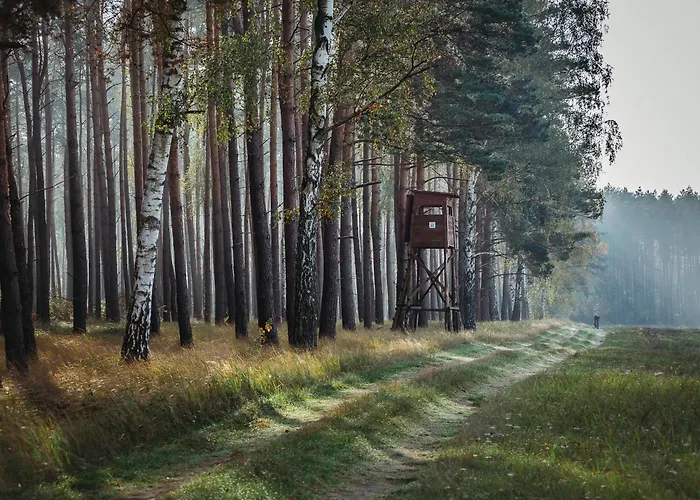 Osrodek Wypoczynkowy Wezaj * Zatom Stary